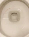 1 Year of Toilet Bowl Cleaner