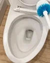 1 Year of Toilet Bowl Cleaner